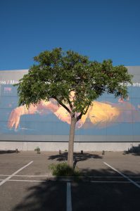 Lire la suite à propos de l’article De l&rsquo;autre côté du périphérique