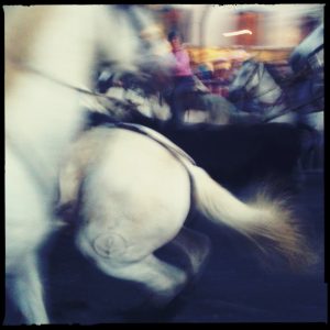 Lire la suite à propos de l’article Feria – Pia Elizondo